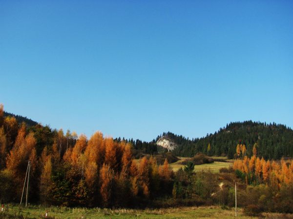 PIENINY W JESIENNEJ BARWIE