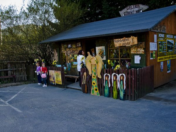 Bieszczadzkie Anioły-Cisna