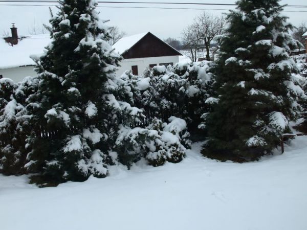 WolaWadowska zima2008