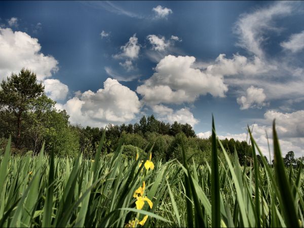 zdjecie Tyniewicze Duże