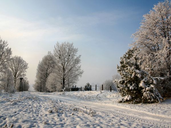 zdjecie Tyniewicze Duże