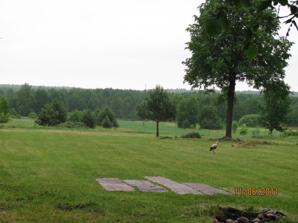 Zielone podwurko durza przestrzen jest gdzie rozlorzyc sie z namiotem.