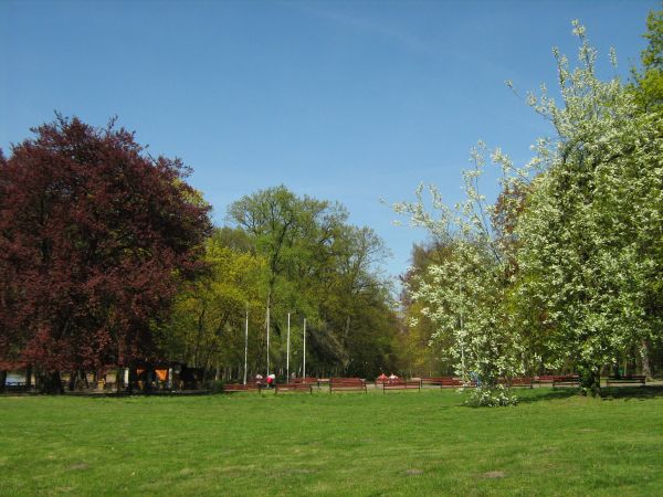Wolsztyn. Park wiosną.