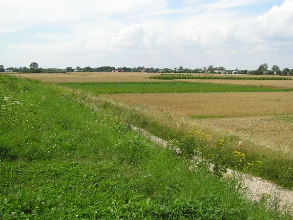 zdjecie Brzostków