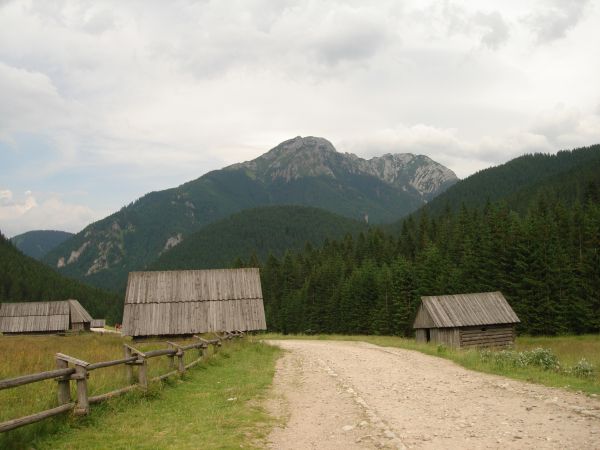 Dolina Chochołowska, Kościelisko