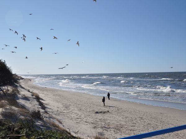 Dąbki piękna szeroka plaża