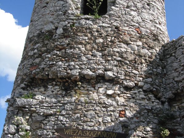 Zamek OGRODZIENIEC **** http://www.zamek-ogrodzieniec.pl/ **** http://zamki.net.pl/zamki/podzamcze/podzamcze.php **** Zamek Ogrodzieniec znajduje się w Podzamcz