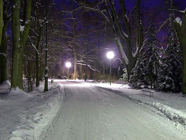 Zimowy park nocą 2