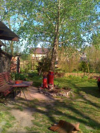 zdjecie Niwki Książęce