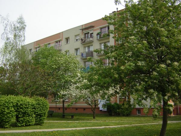 zdjecie Sulechów
