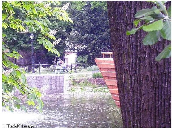 Town Pond. Miejski Staw przy ul.ul. Kubika - Bankowa. Widok na promenadę spacerową.
