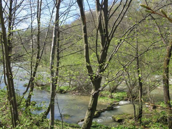 Na Ziemi Sanockiej jest dużo ciekawych, nasyconych urokami miejsc. Niektóre potrafią też swym pięknem  - zaskoczyć. Tak też jest z przełomem Wisłoka między Mymo
