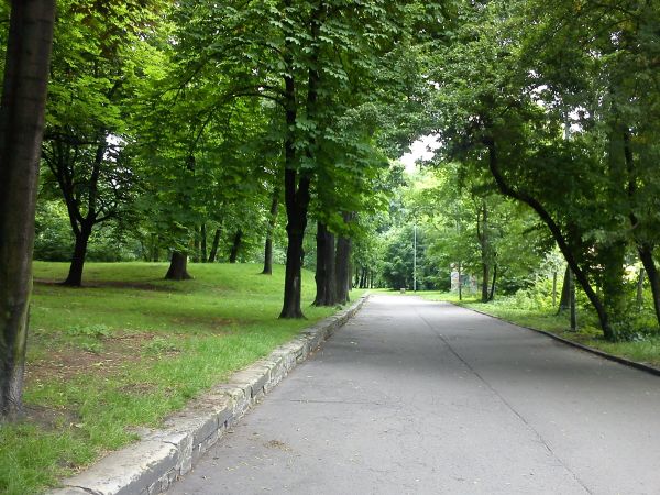 Mysłowice-Park miejski.
