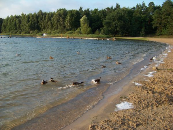 Tylko plażowiczów brak