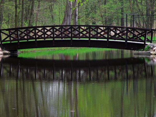 Żmigród - Zespół pałacowo - parkowy