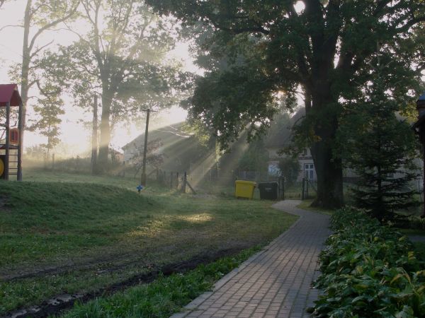 Po wschodzie słońca.