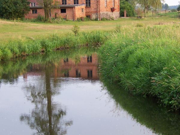 Stary młyn nad Liswartą