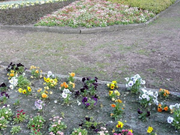 Zabrze - ogród botaniczny