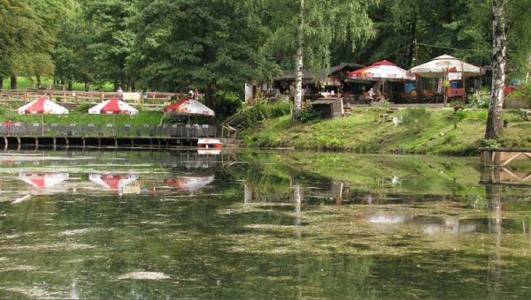 "Biskupi Staw" - tu zawsze można zjeść znakomitego pstrąga (nawet osobiście złowionego).