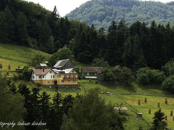 Domy pod lasem- Rytro.