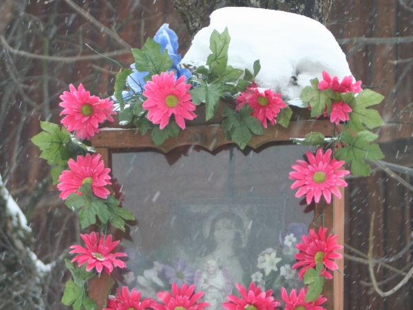 Fot. Ewa Kamila Jabłońska