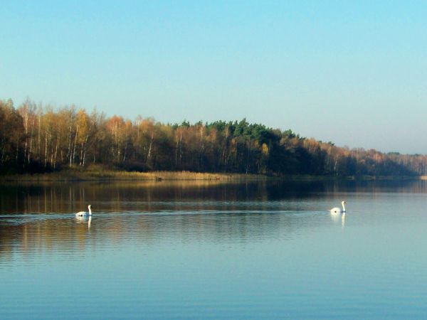 Pogoda zimna, widoki piękne - jesień nad jeziorem Kamionki Małe.