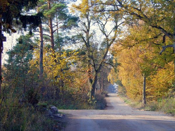 Rozstaje pod Waplewkiem.