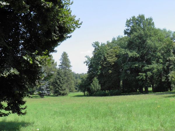Zamek - Muzeum w Łańcucie. Park - fragment