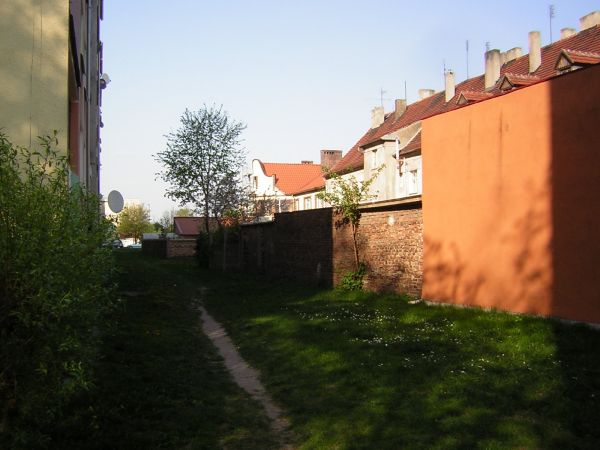 zdjecie Sulechów
