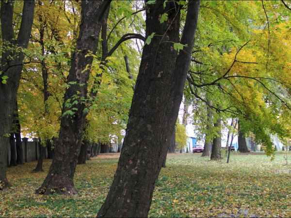 Zespół pałacowo - parkowy w Ożańsku.