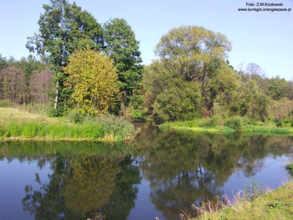 Rawka pod Joachimowem