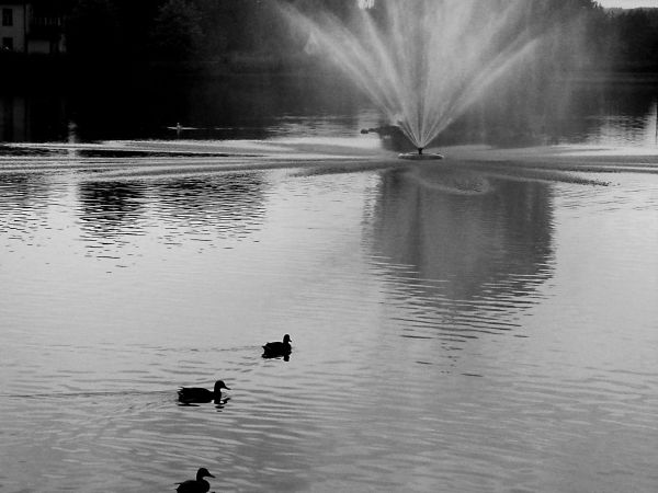 zdjecie Kudowa-Zdrój