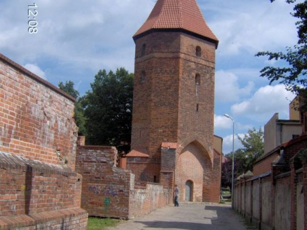 Baszta Bluszczowa.