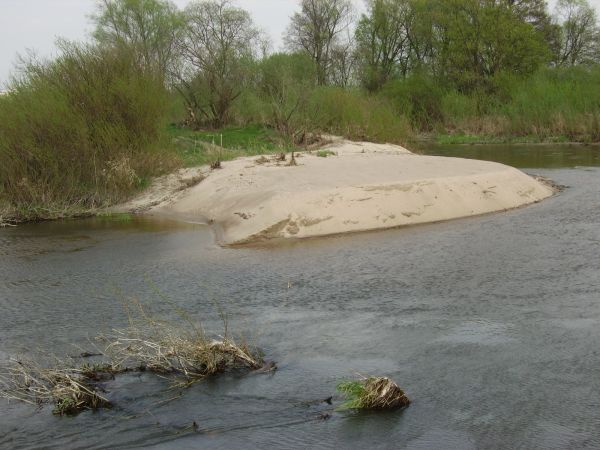Piaszczysta wyspa nad brzegiem Liwca