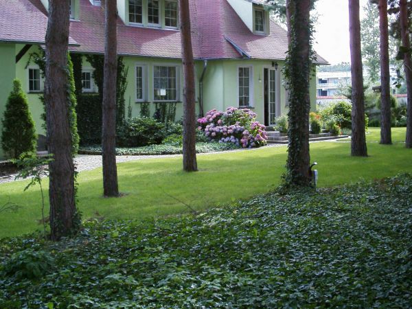 zdjecie Zielona Góra