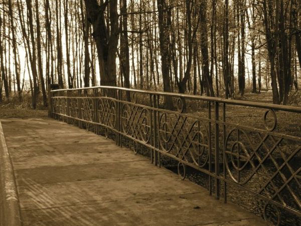 Park w Choroszczy  (fot. Marcin Niczyporuk)