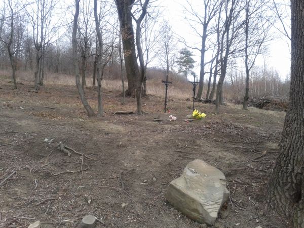 fragment cmentarza - odkrzaczony i uprzątnięty, nowe krzyże, odrestaurowane stare cokoły pomników nagrobnych.