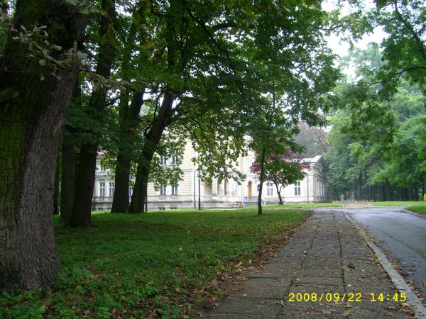 Piękny stary park przed pałacem Moszyńskich.