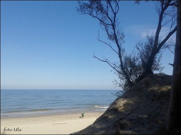 Plaża między Rowami a Dębimą