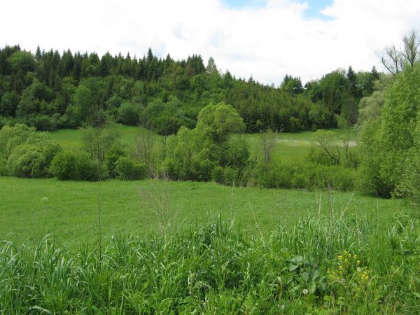 dolina potoku Ruchlin, zagłębiona pomiędzy wzniesienia Bani - od północy  i Markowskiej - 748m npm - od południa. Tu akurat - polecam też : http://esanok.pl/201
