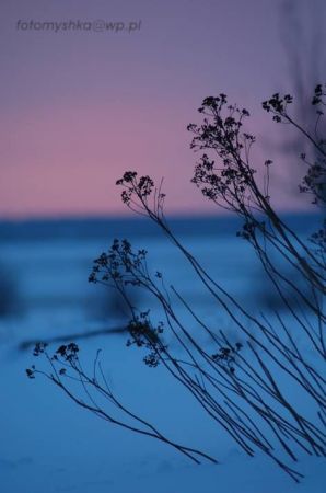 Zdjęcia Łochyńsko