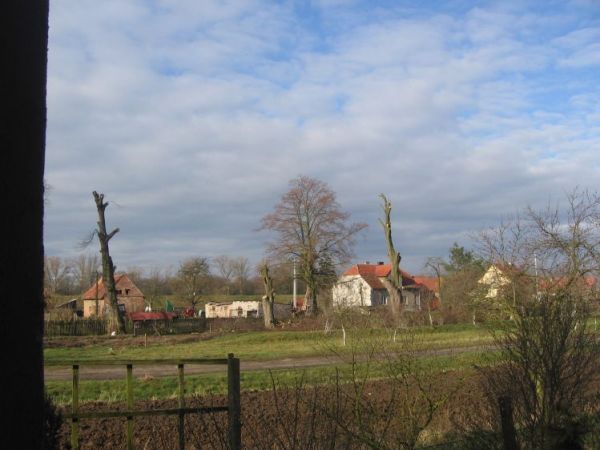 WIDOCZNY NA ZDJĘCIU DOM NIE TOTYCZY TEGO CZYNU!!!!!!!!