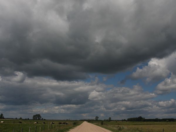 zdjecie Tyniewicze Duże