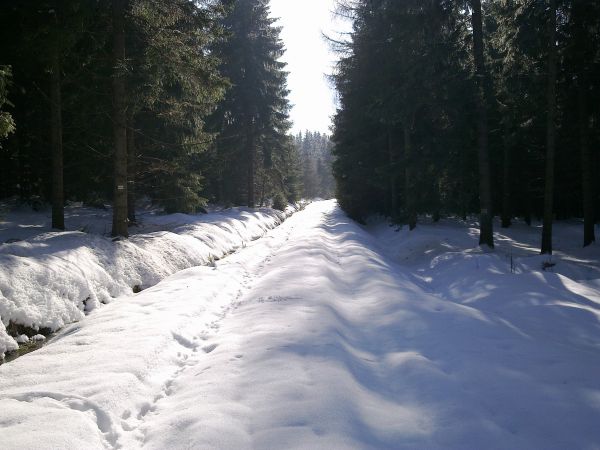 Różanka - żółtym szlakiem na Bochniak (713 m n.p.m.)