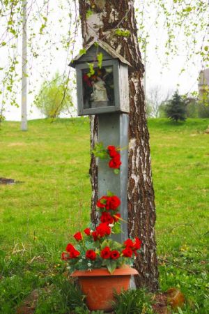 kapliczka przydrożna - tzw. skrzynkowa, pięknie ukwiecona, zawieszona na brzozie, we wnęce Pieta - Matka Boża Bolesna.