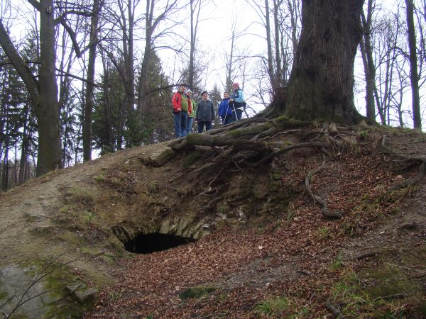 Wzmianka z 1485r. wspomina o napadzie i spaleniu dworu i wieży w Zboiskach, podobno w zamku tym żupnik tyrawski Matiasz miał osadzić zbójów węgierskich - na zdj