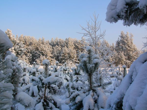 zdjecie Tyniewicze Duże