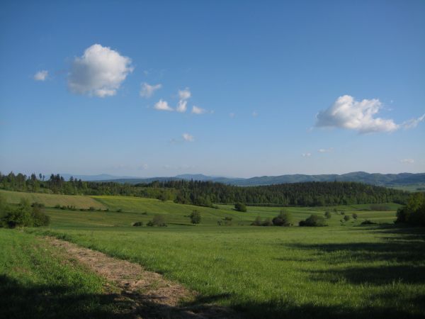 Śpiew ptaków , widok na góry,coś pięknego.