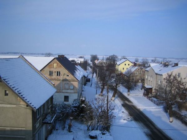 Widok w kierunku północnym, droga do miejscowości Nowojowice i Węgry.