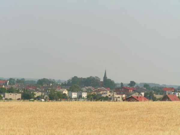 Panorama Powidza